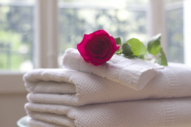 chambre-hote--min_towel_rose_clean_care_salon_spa_white_bath-731641